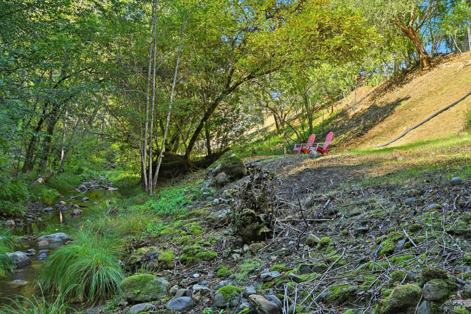 5251 Dry Creek Road Napa, CA 94558 - Photo 36 of 61 a view of a yard with plants and a large tree