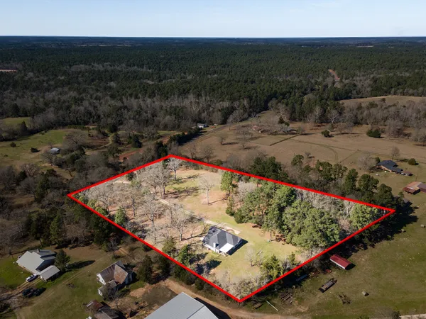 a view of road with large trees