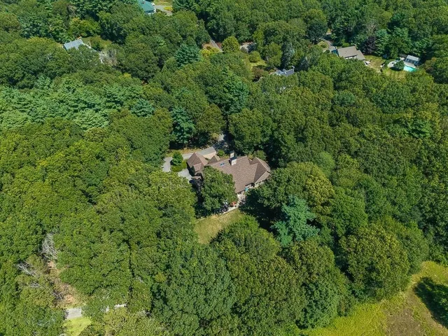 a view of a house with a lush green forest