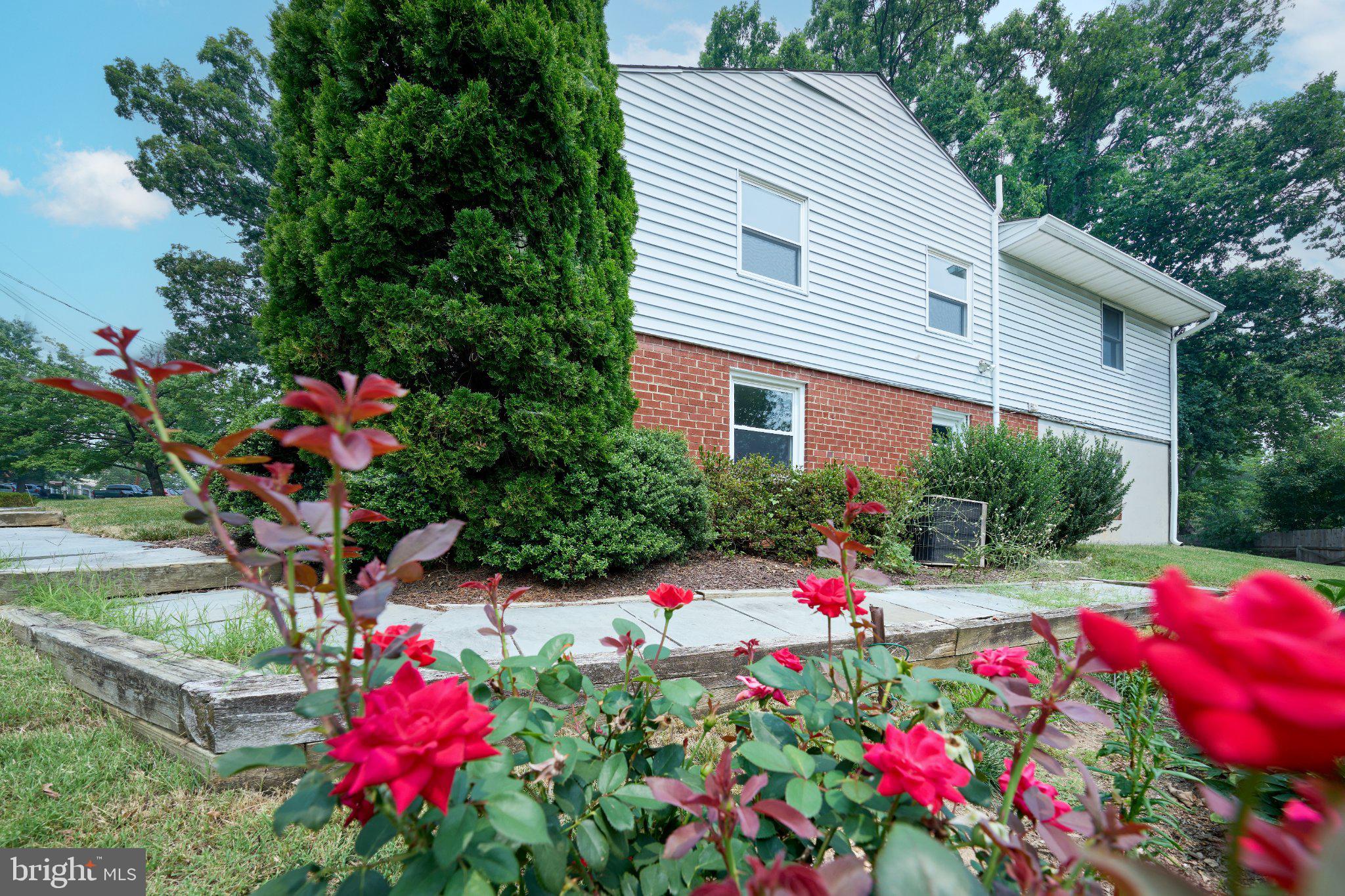 2924 Gracefield Road Silver Spring, MD 20904 - Photo 55 of 57 Charming home with vibrant gardens.