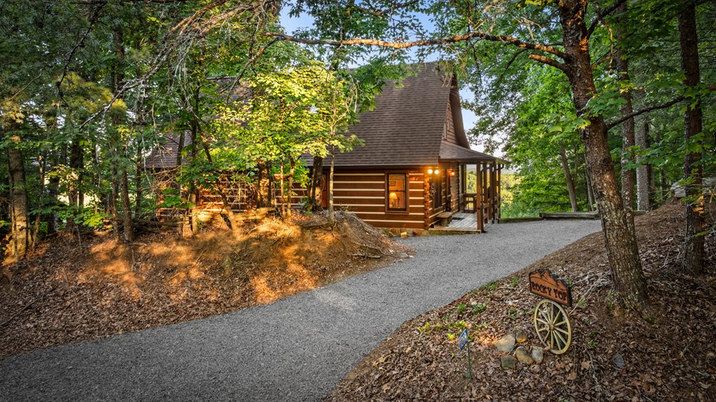 1289 My Mountain Road Morganton, GA 30560 - Photo 5 of 68