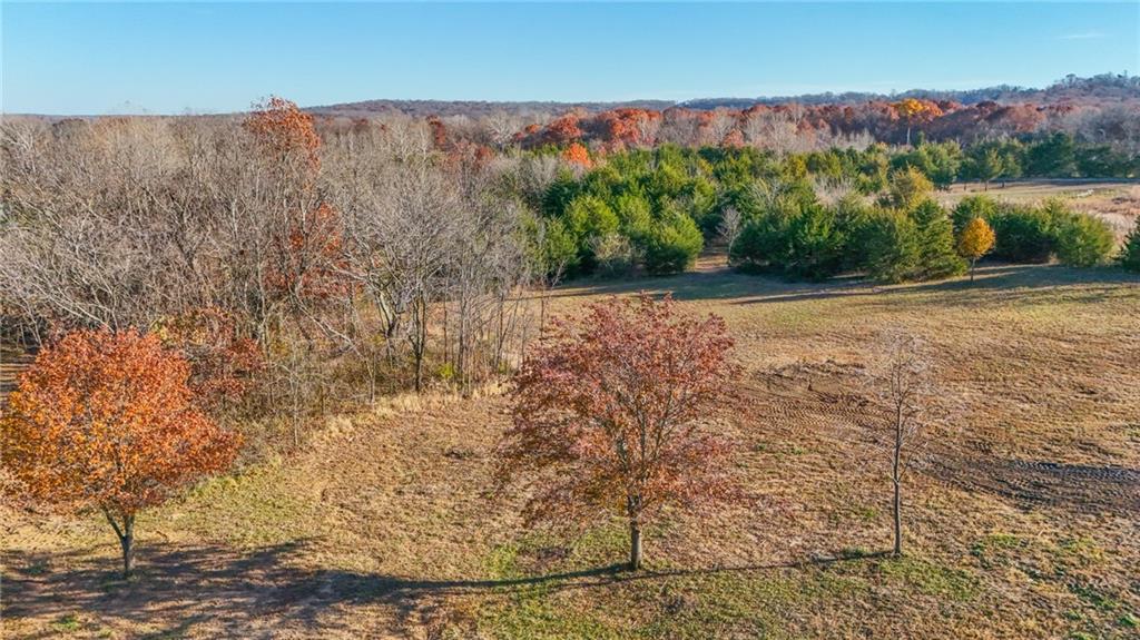 10-acres East 1700 Road Baldwin City, KS 66006 - Photo 7 of 14