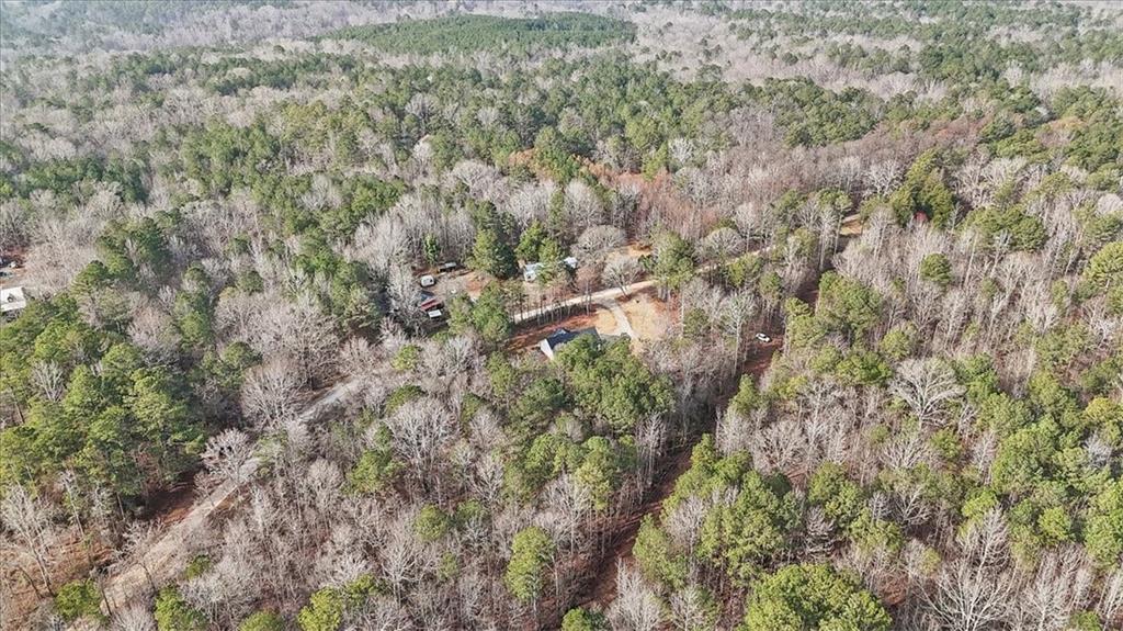 1470 Ben Davis Road Buchanan, GA 30113 - Photo 41 of 45