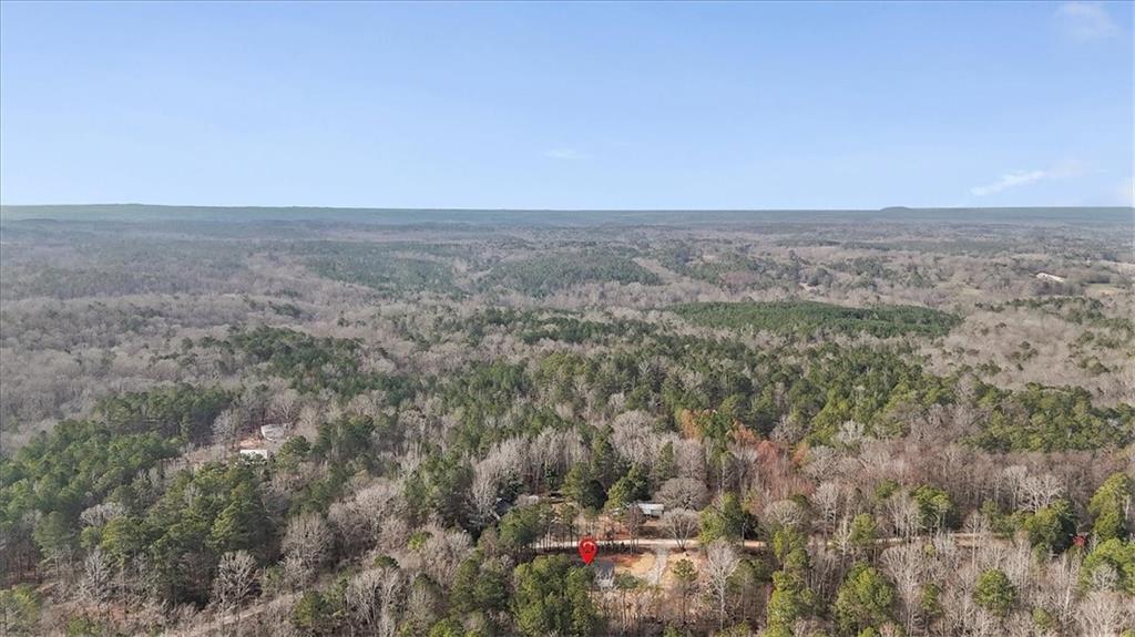 1470 Ben Davis Road Buchanan, GA 30113 - Photo 43 of 45