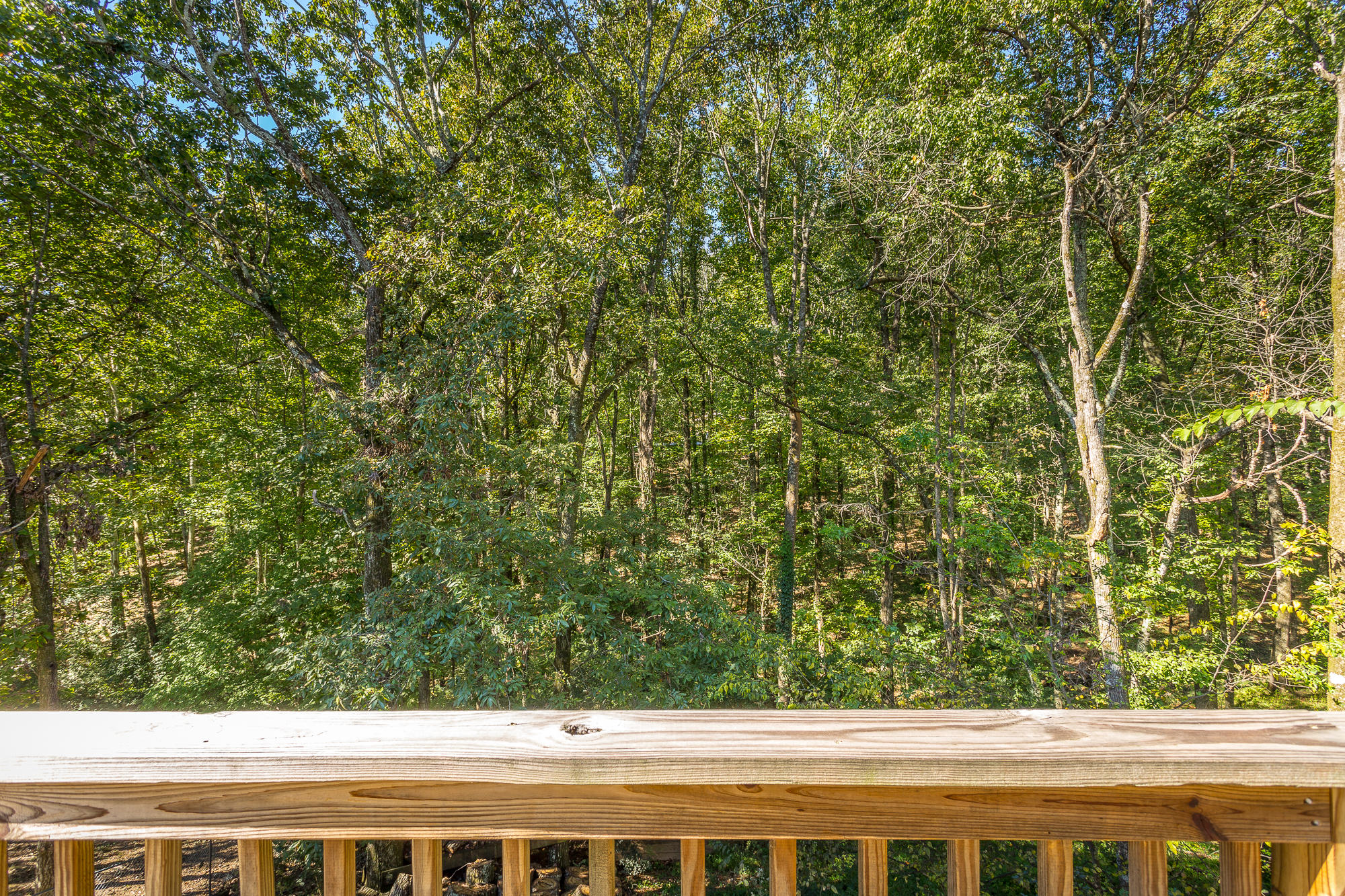 1810 Hidden Harbor Road Hixson, TN 37343 - Photo 46 of 46 1810 Hidden Harbor Drive-46