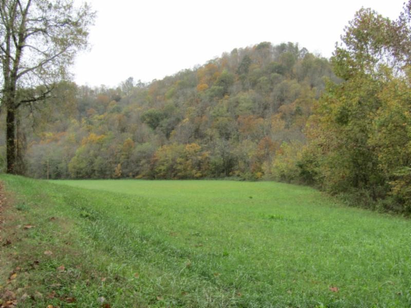 55 Dry Creek Road Moss, TN 38575 - Photo 4 of 36 Gallery Image 4