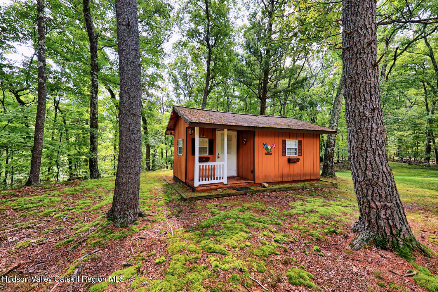 379 Joel M Austin Road Cairo, NY 12413 - Photo 13 of 92 9d