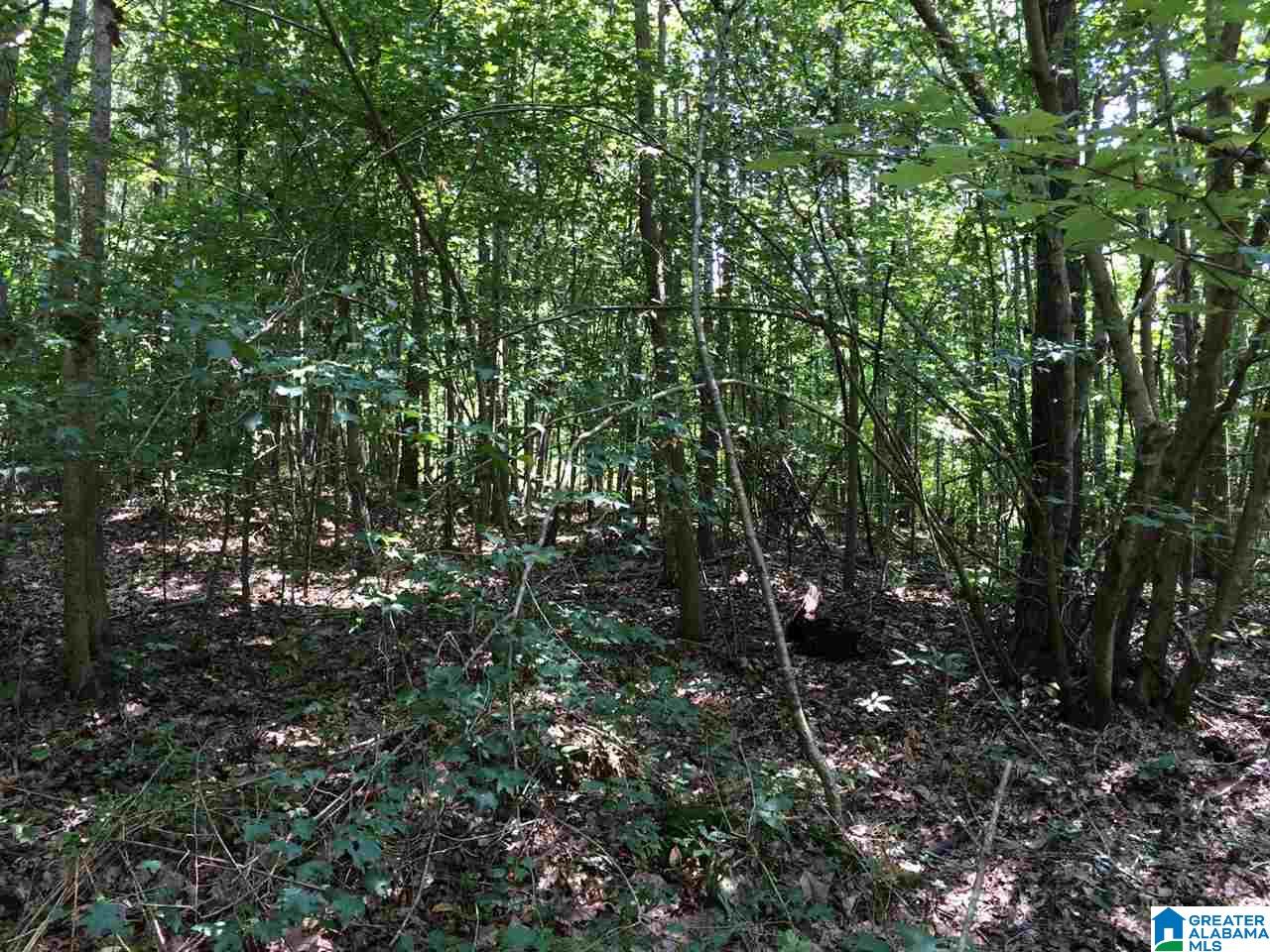 Spunky Hollow Road, Unit 18 7 Oneonta, AL 35121 - Photo 43 of 46