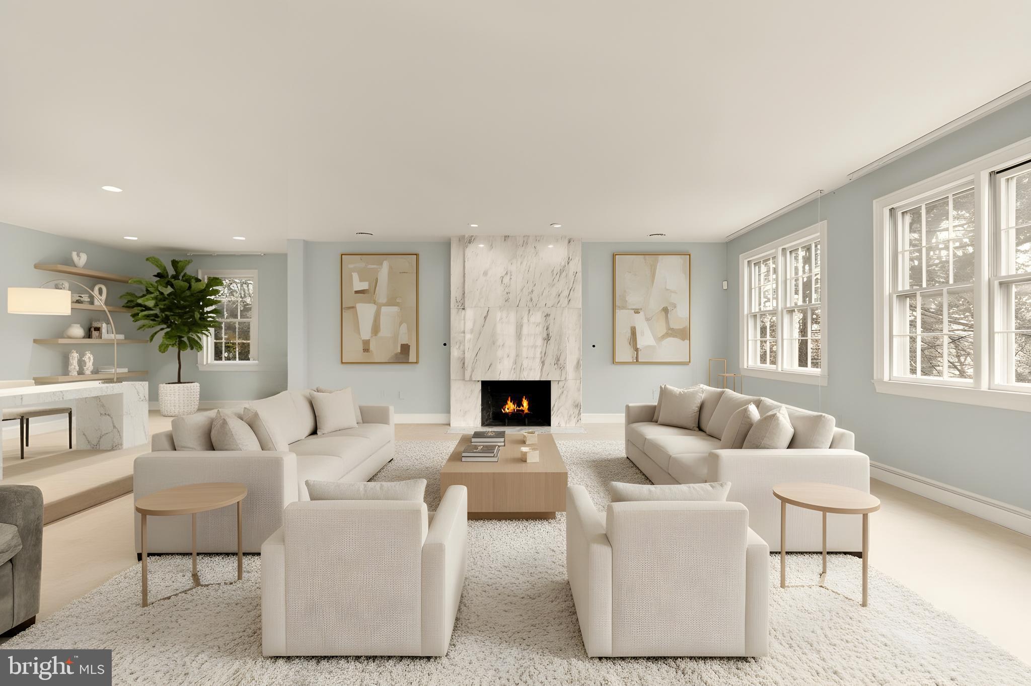 221 Chain Bridge Road McLean, VA 22101 - Photo 8 of 18 a living room with furniture a fireplace and a potted plant