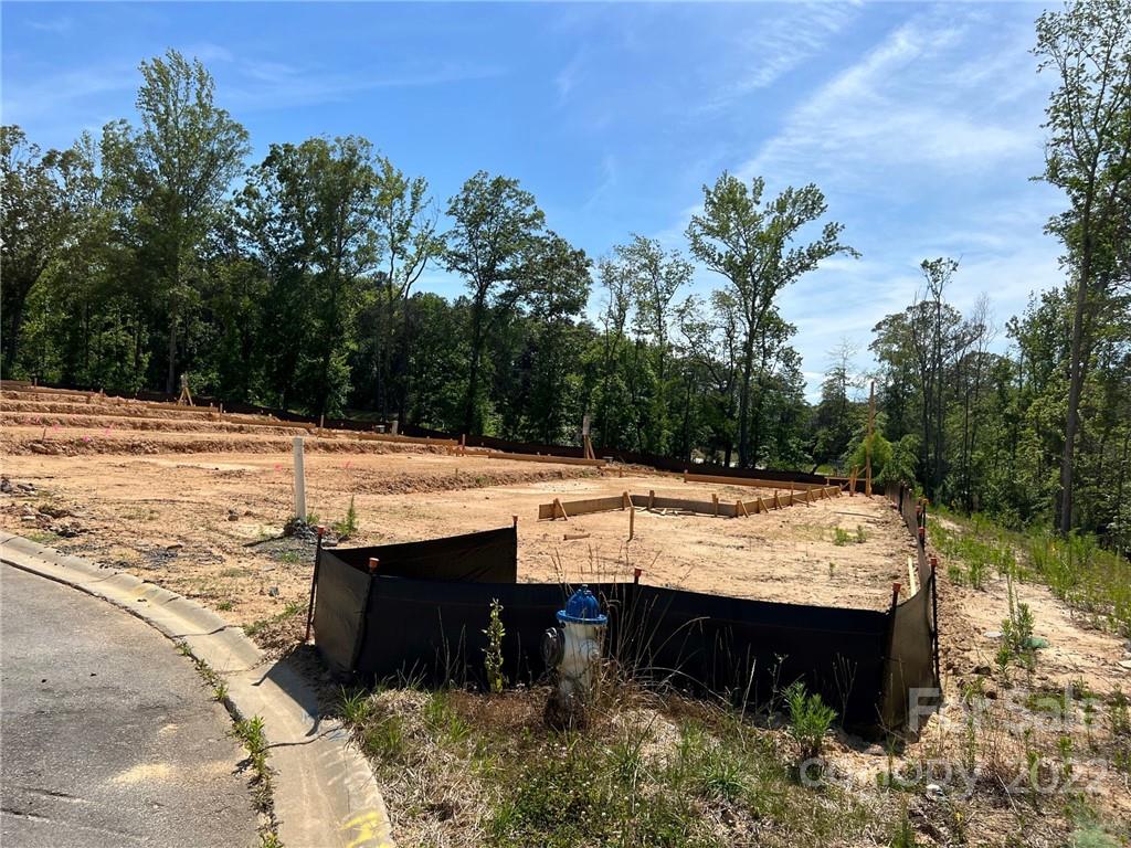 541 Madison Falls Court Fort Mill, SC 29708 - Photo 2 of 25 a view of a swimming pool with a yard