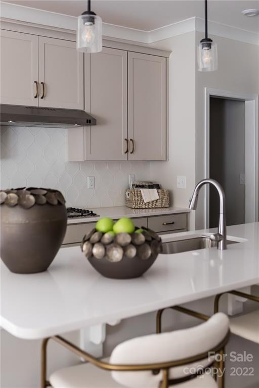 541 Madison Falls Court Fort Mill, SC 29708 - Photo 5 of 25 a kitchen with a sink and cabinets