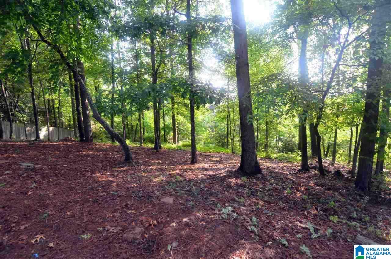 3113 Highland Lakes Road Birmingham, AL 35242 - Photo 40 of 42