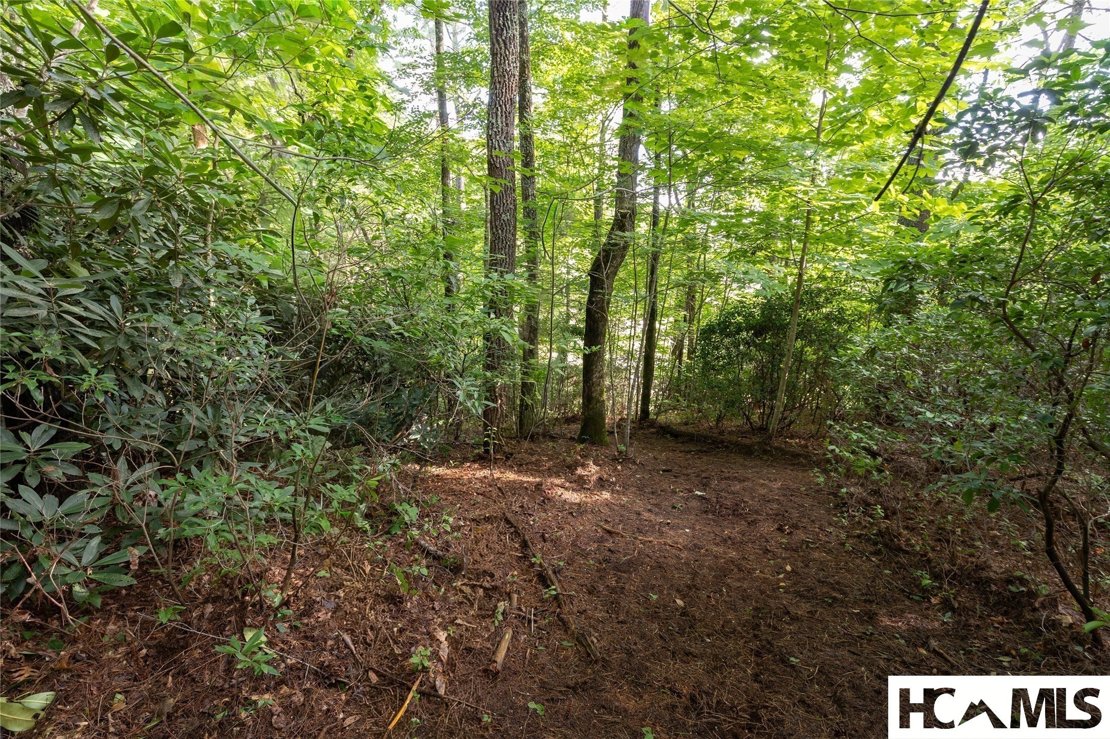 43-fr Running Fox Road Sapphire, NC 28774 - Photo 12 of 48 Gallery Image 12