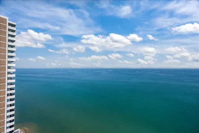 a view of a bunch of trees and bushes