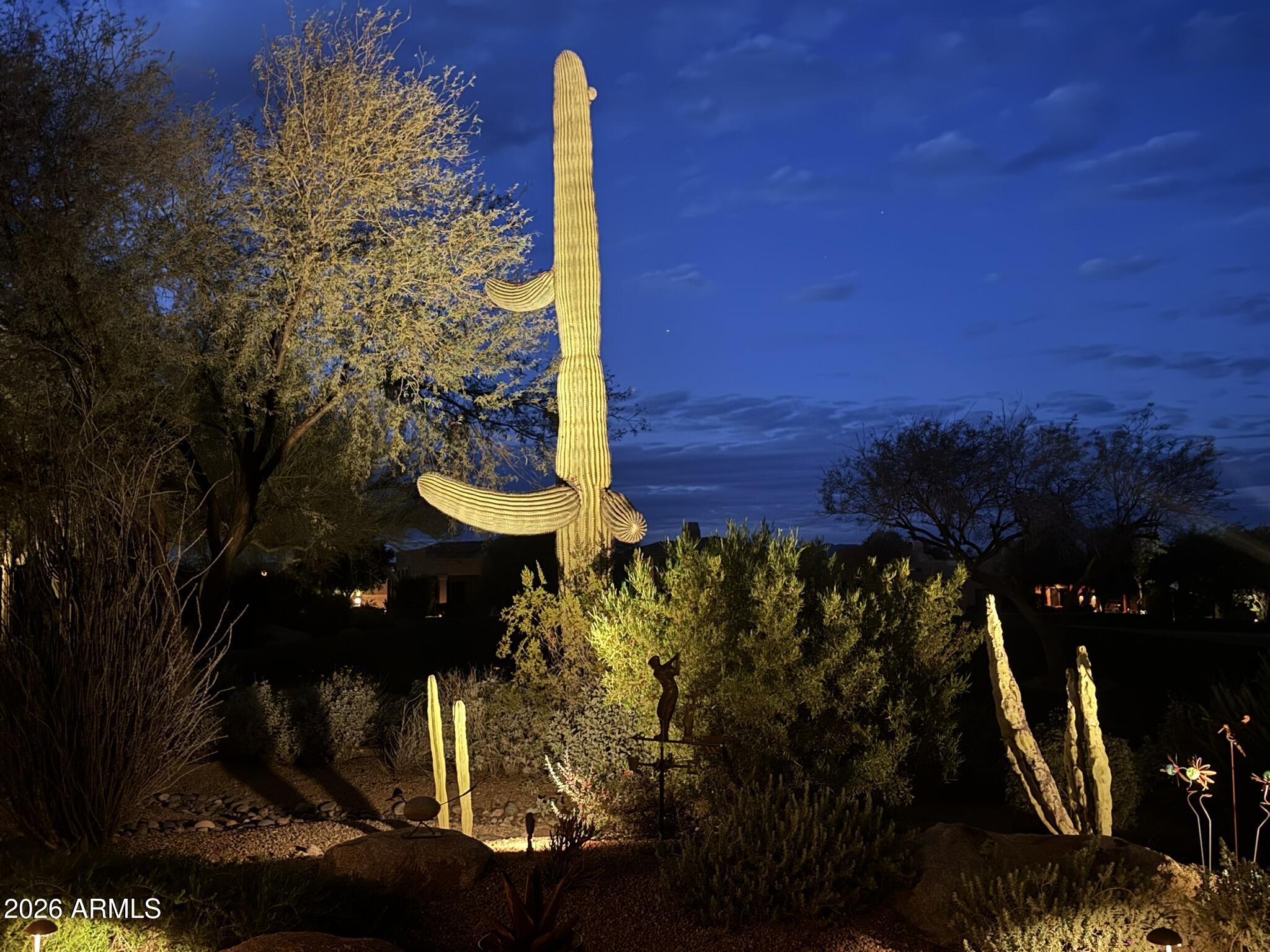 18926 East Quartz Way Rio Verde, AZ 85263 - Photo 40 of 44 Beautiful lighting on cactus