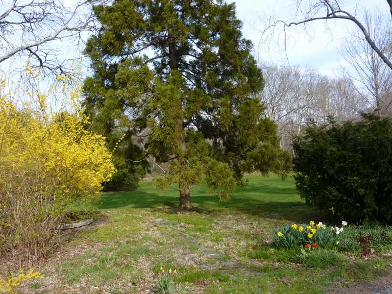 3804 Main Road Tiverton, RI 02878 - Photo 8 of 25 Yard/Garden.