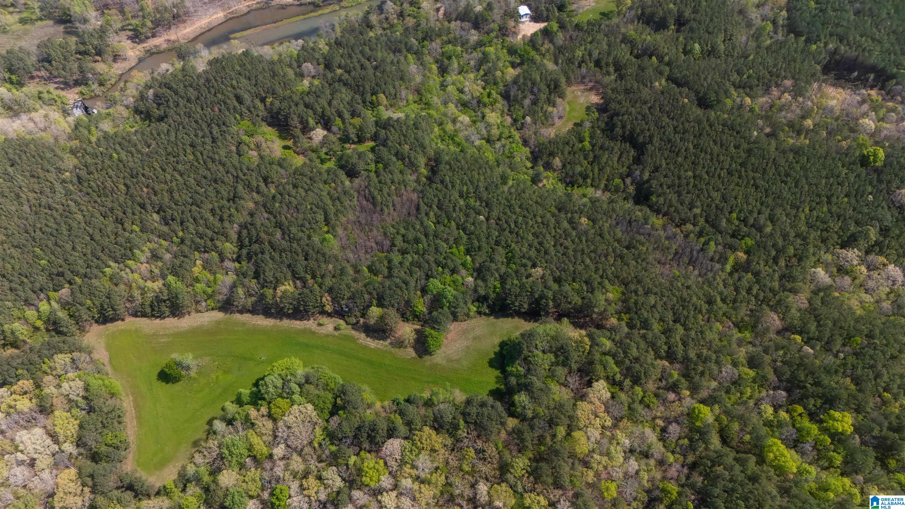 2121 Center Hill Road Trafford, AL 35172 - Photo 48 of 100