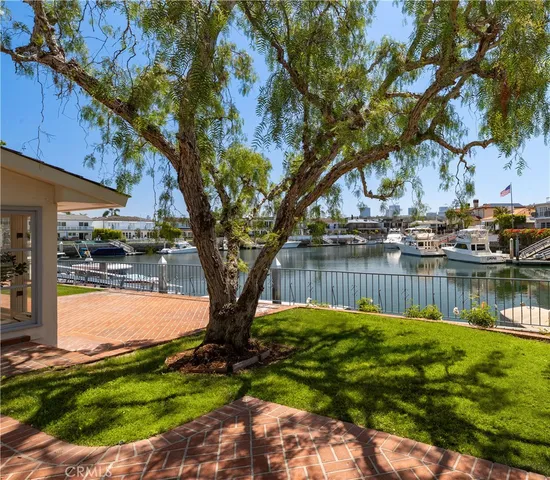 a lake view with a tree in the background