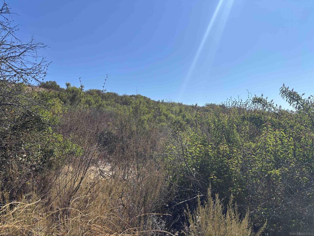 a view of mountain view with lots of bushes