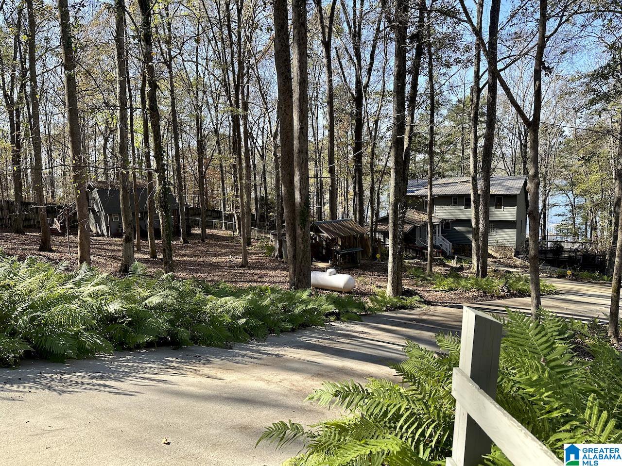 3371 County Road 104 Cedar Bluff, AL 35959 - Photo 2 of 100