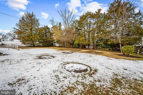 a view of dirt yard with a tree
