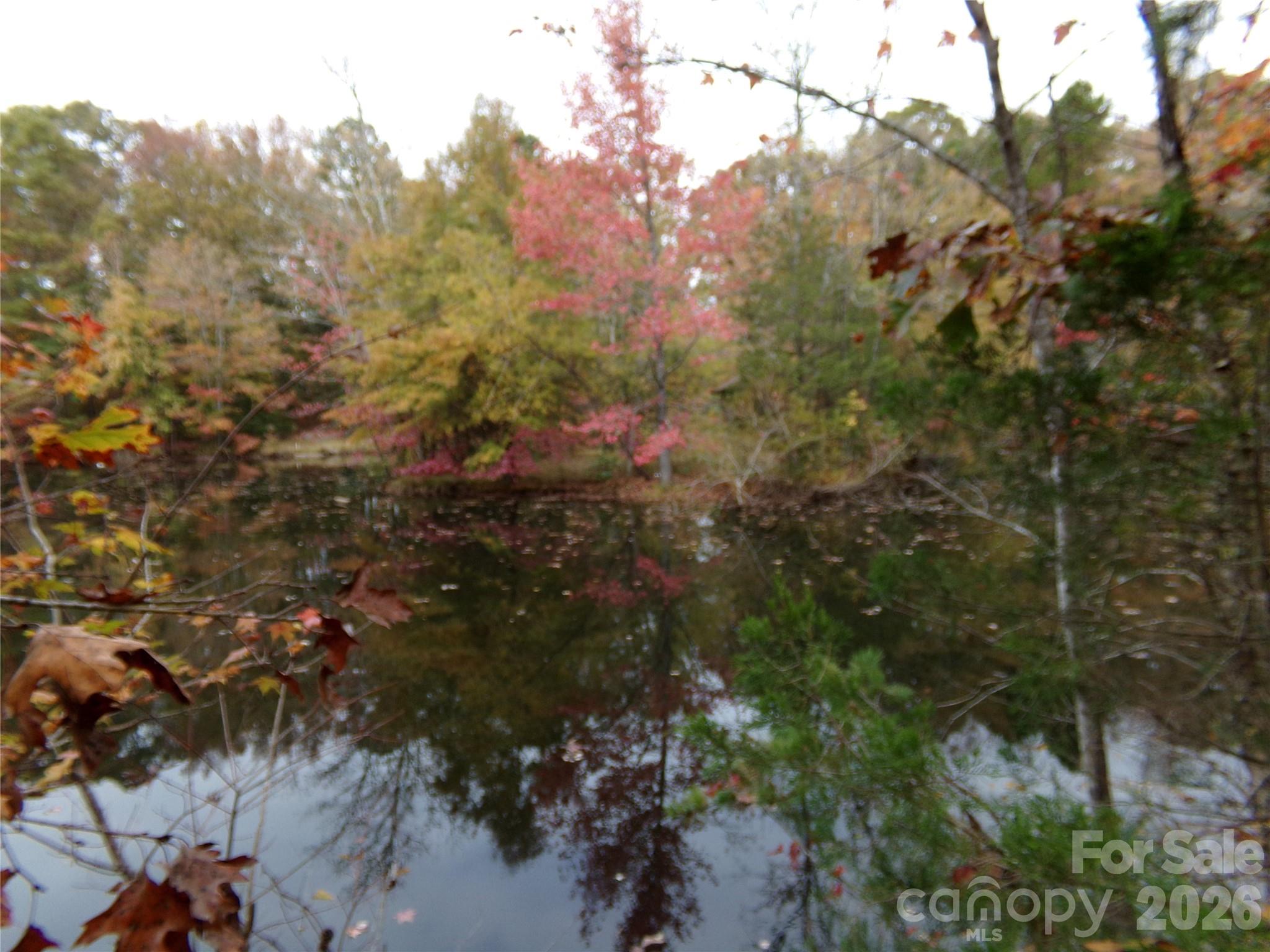 627 Bolick Road Fort Mill, SC 29707 - Photo 13 of 14