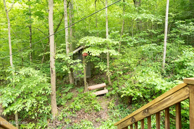 $546,000 | 308 Black Mash Hollow Road, Townsend, TN 37882