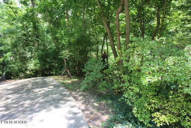 $546,000 | 308 Black Mash Hollow Road, Townsend, TN 37882