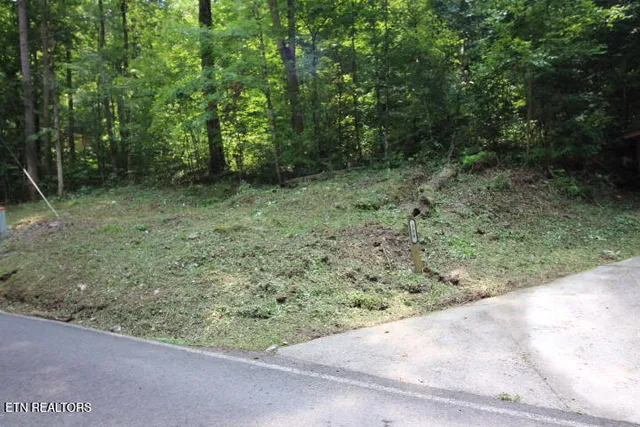 $546,000 | 308 Black Mash Hollow Road, Townsend, TN 37882