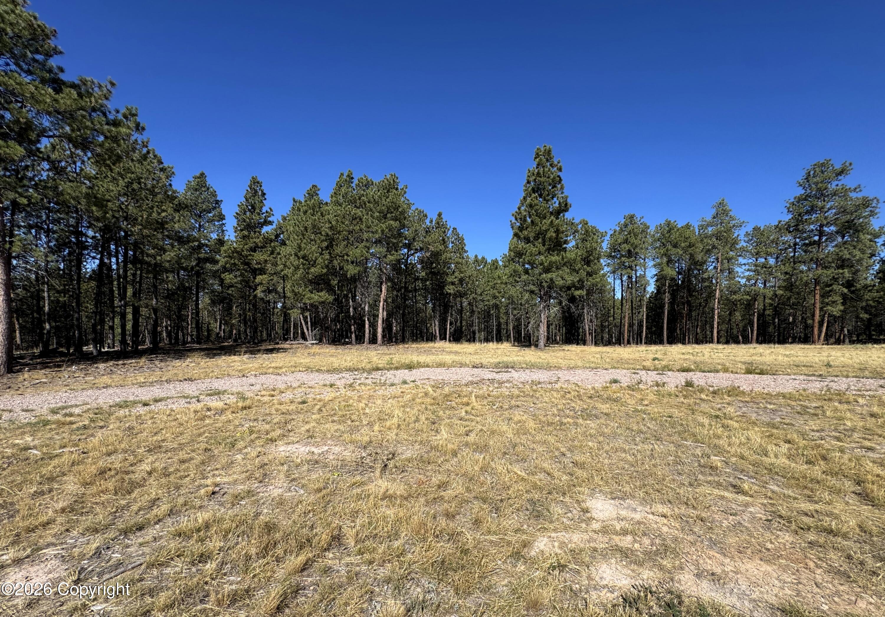 275 Remington Road Sundance, WY 82729 - Photo 6 of 9 Gallery Image 6