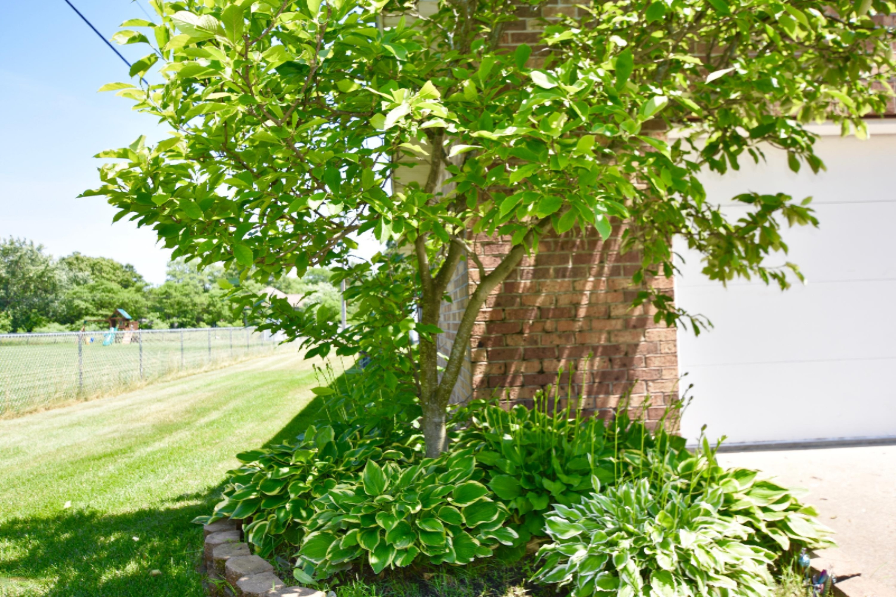 1318 Horton Road Muskegon, MI 49445 - Photo 58 of 80 DSC_0801