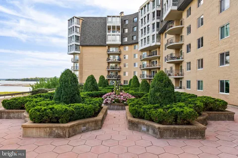 a view of a garden with plants