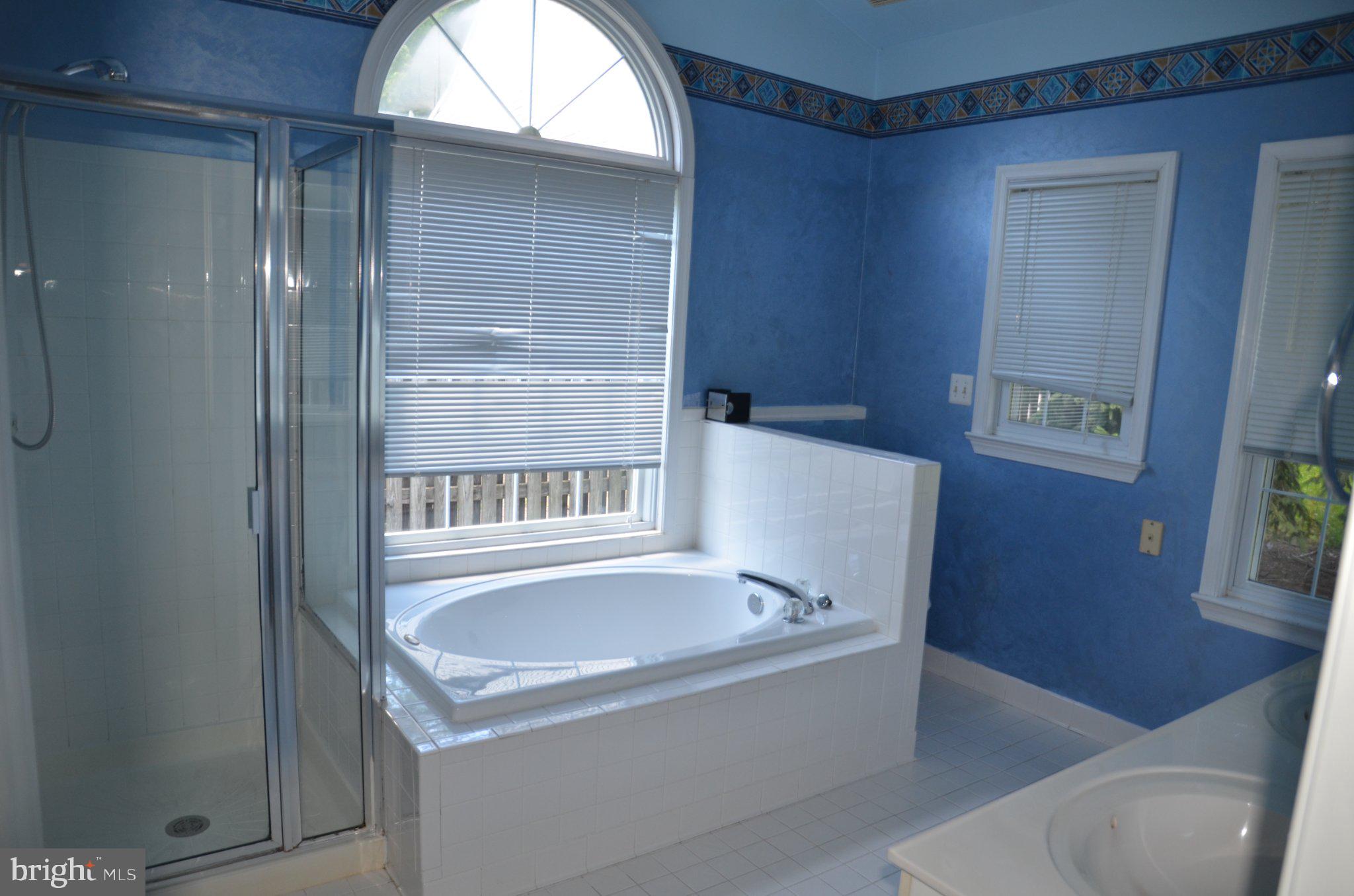406 Longdraft Road Gaithersburg, MD 20878 - Photo 9 of 24 Serene blue bathroom retreat.