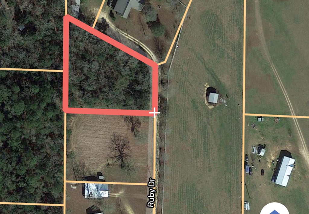 0 Ruby Drive Dothan, AL 36303 - Photo 2 of 3
