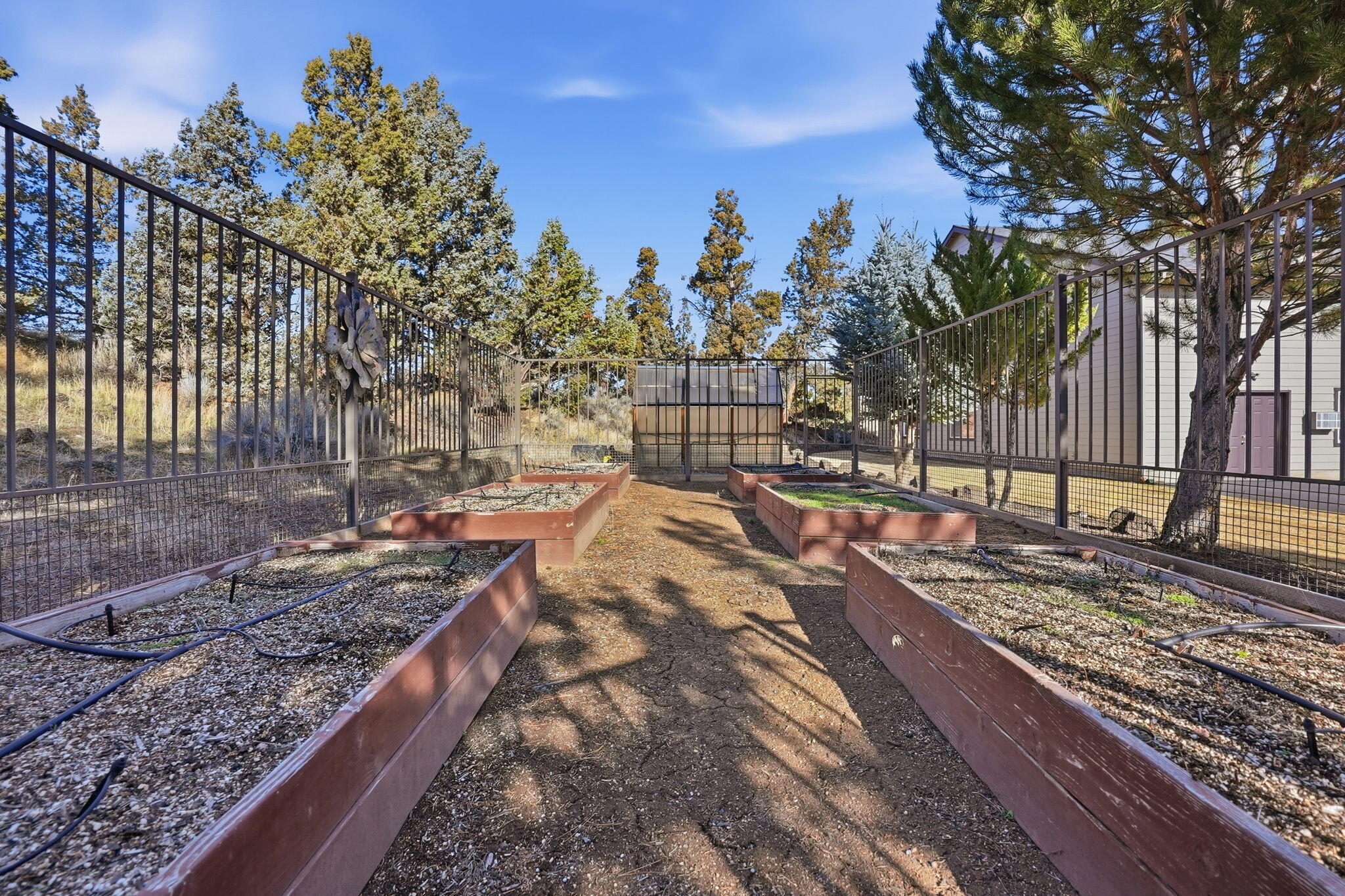 21450 Dale Road Bend, OR 97701 - Photo 72 of 75 Raised garden beds and greenhouse