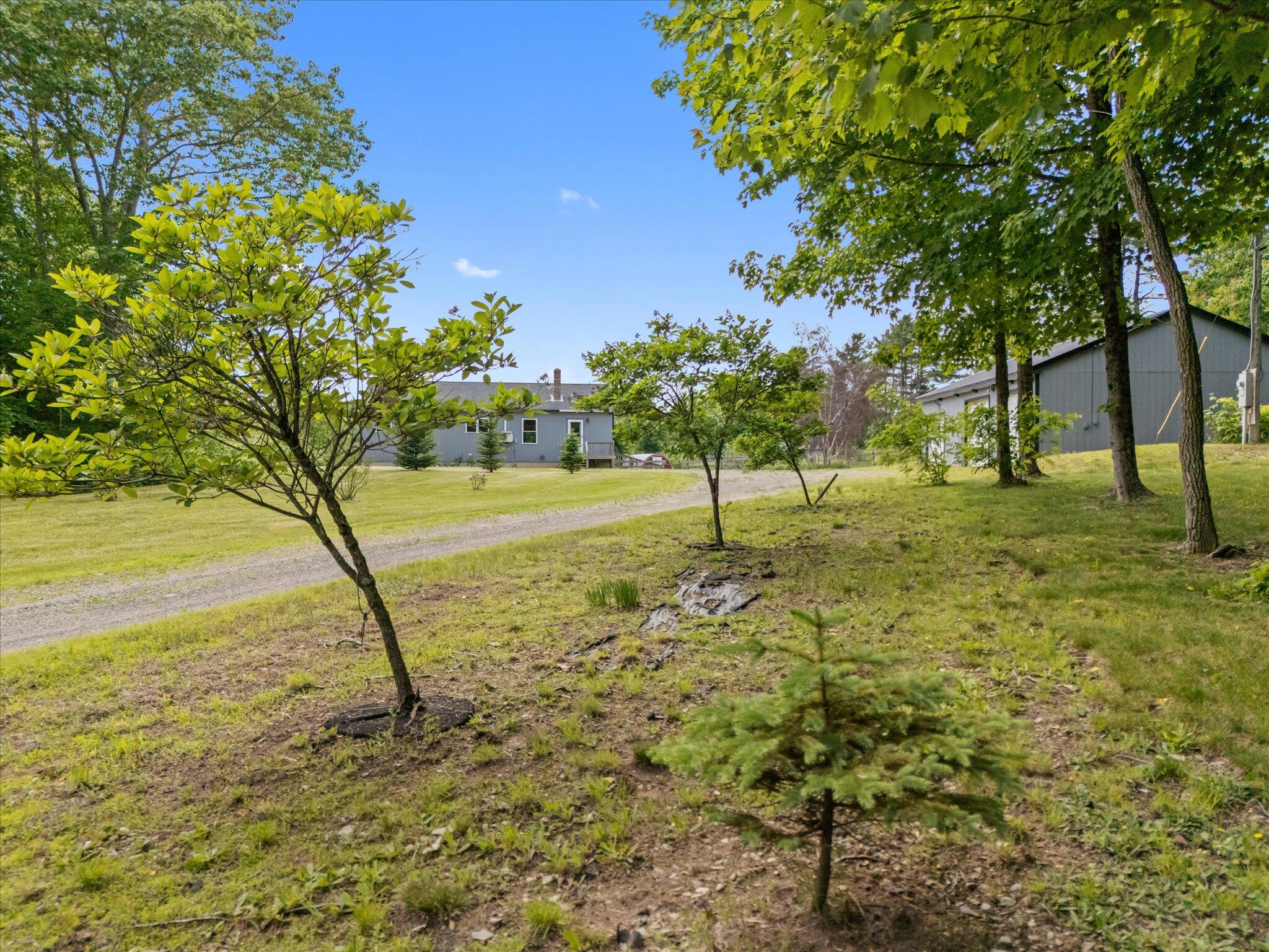 431 Bardon Hill Road Etna, ME 04434 - Photo 44 of 56 23-431 Bardon Hill