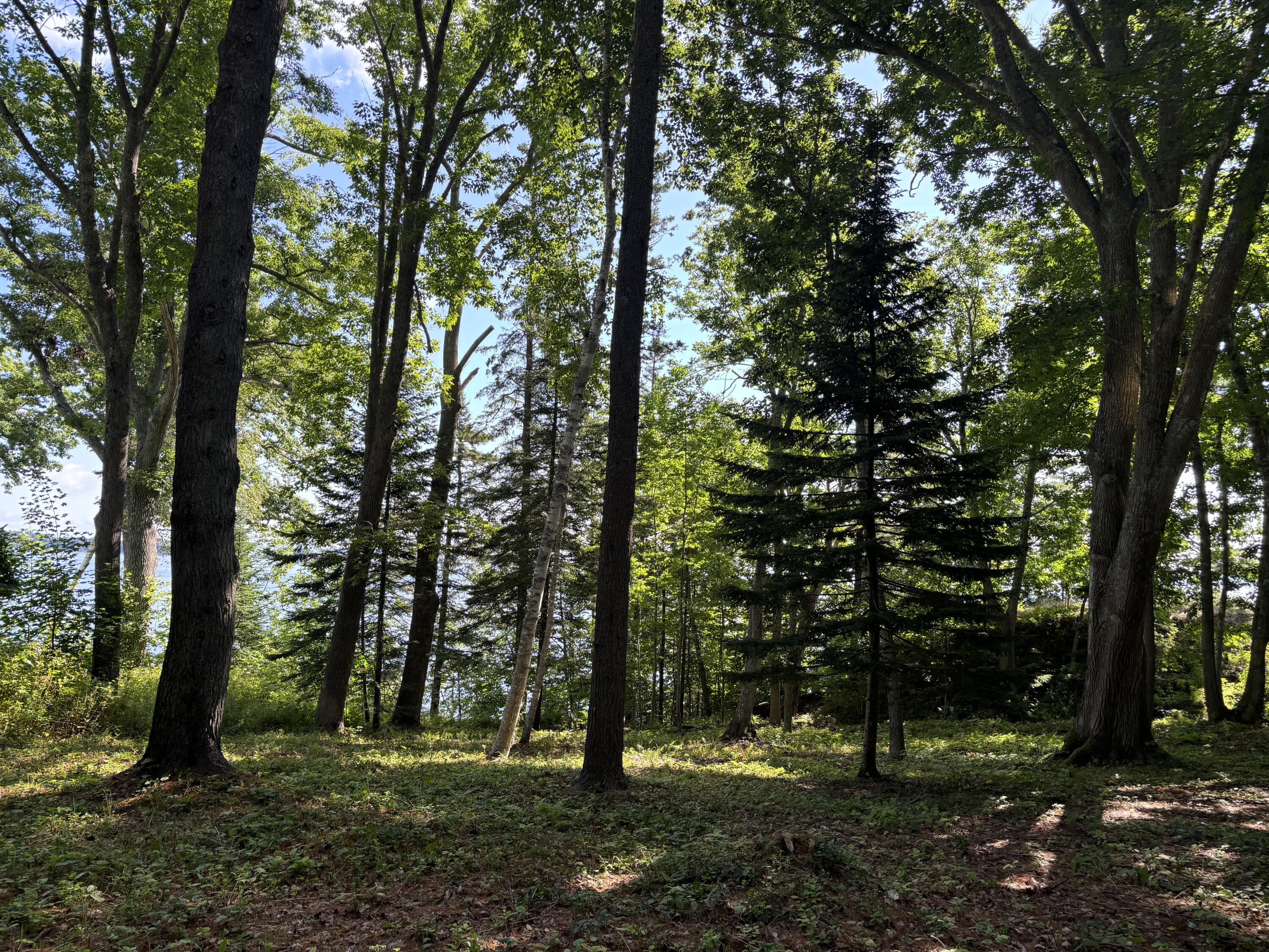 Lot 19 Roxmont Road Rockport, ME 04856 - Photo 2 of 27 IMG_1307