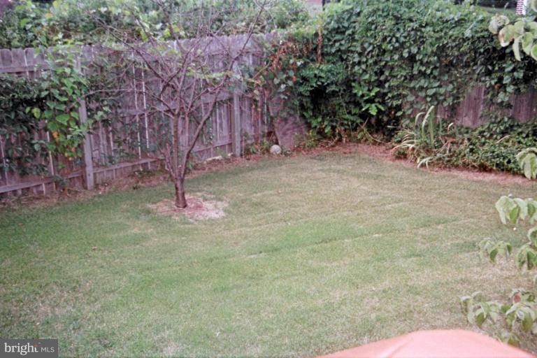 6003 Brunswick Street Springfield, VA 22150 - Photo 11 of 17 Fenced yard w/flowering fruit trees.