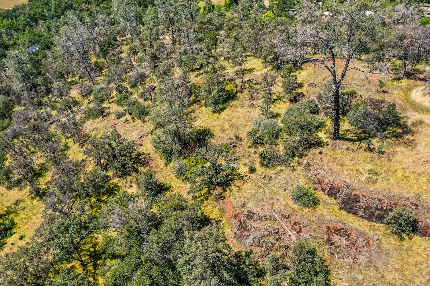 29 Township Road Browns Valley, CA 95918 - Photo 20 of 62 Gallery Image 20