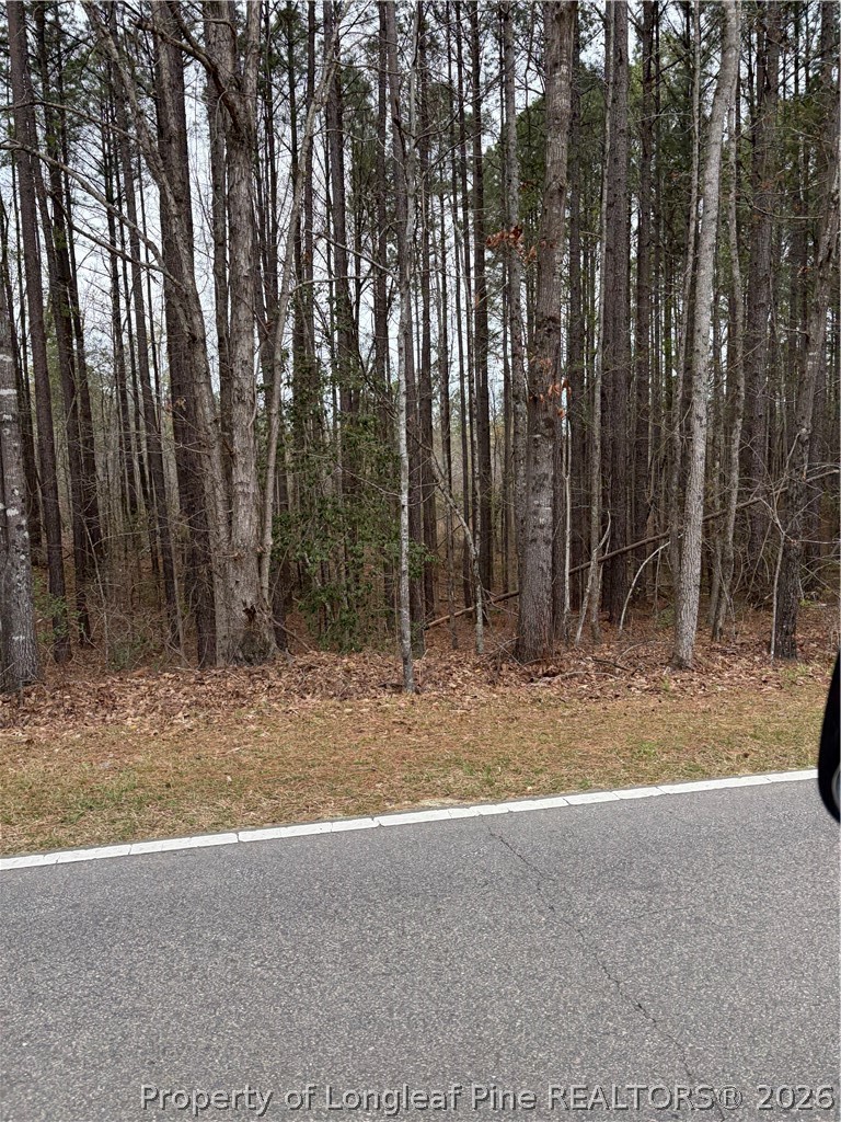 a view of outdoor space and yard