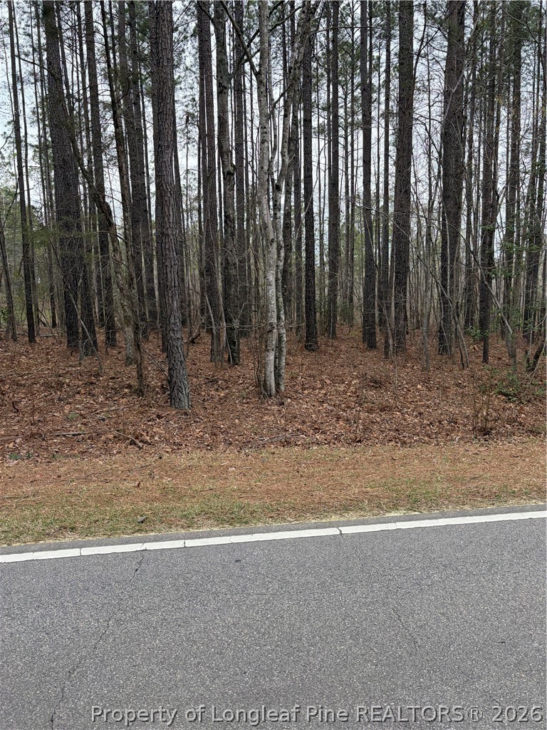 Mcpherson Road Sanford, NC 27330 - Photo 2 of 2 a view of a backyard with trees