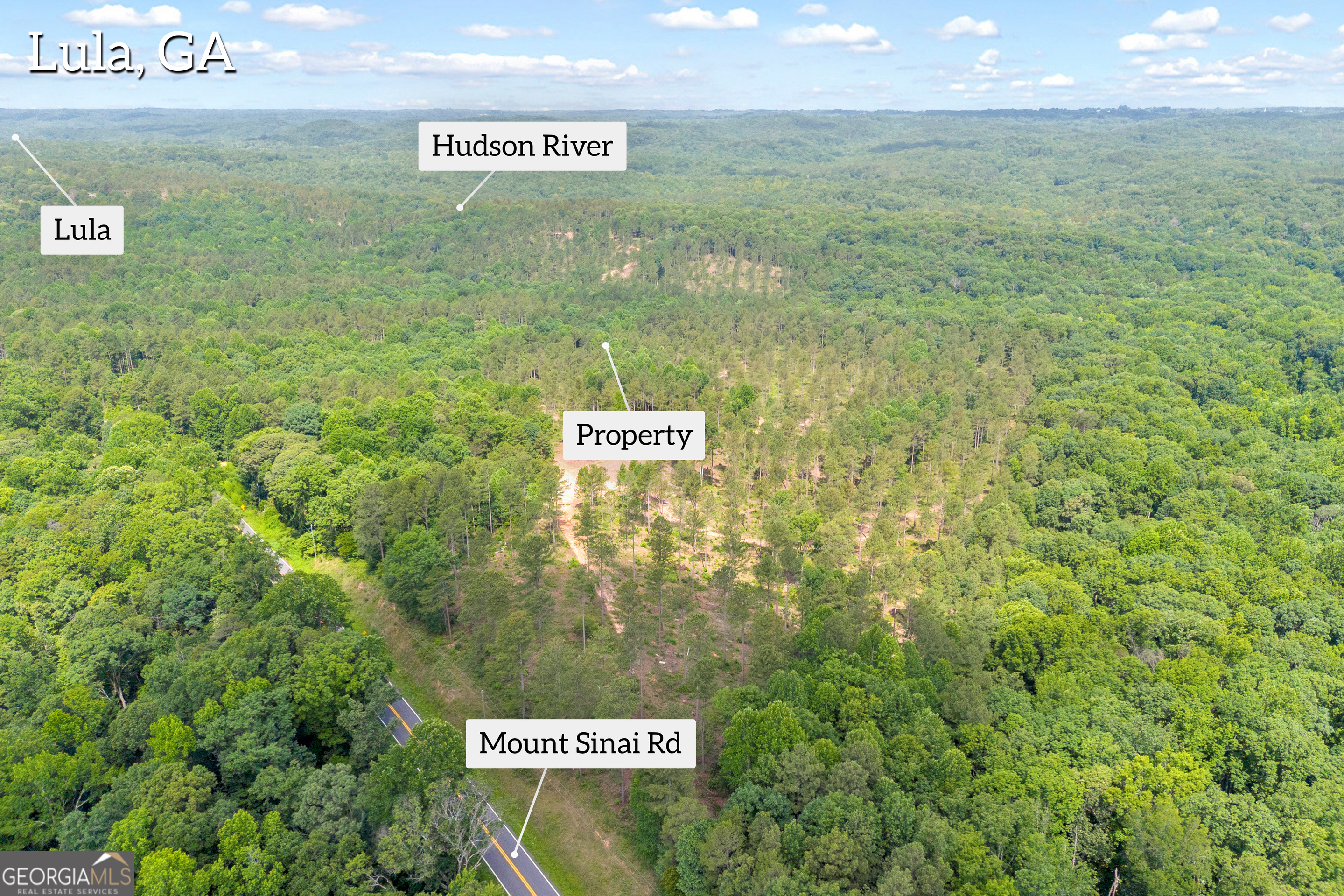 0 Mt Sinai Road, Unit LOT 1 Lula, GA 30554 - Photo 3 of 67