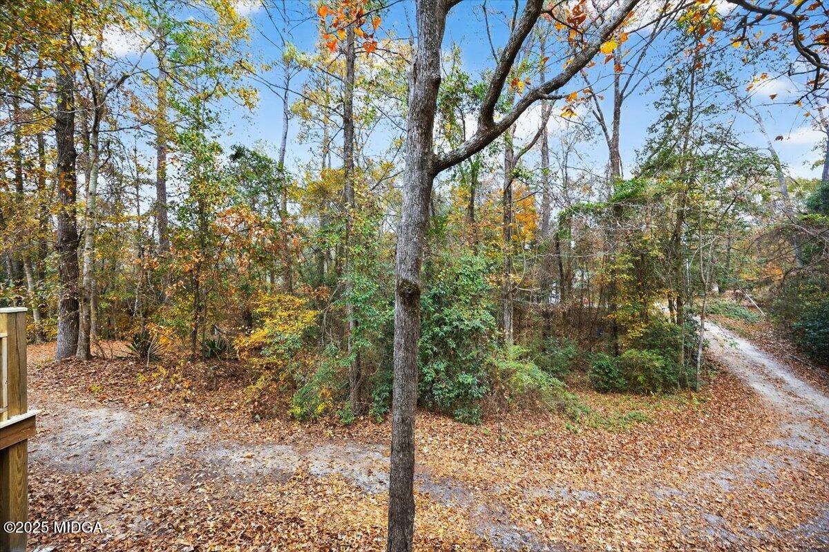 5682 Hartley Bridge Road Macon, GA 31216 - Photo 57 of 79 a view of a forest with large trees