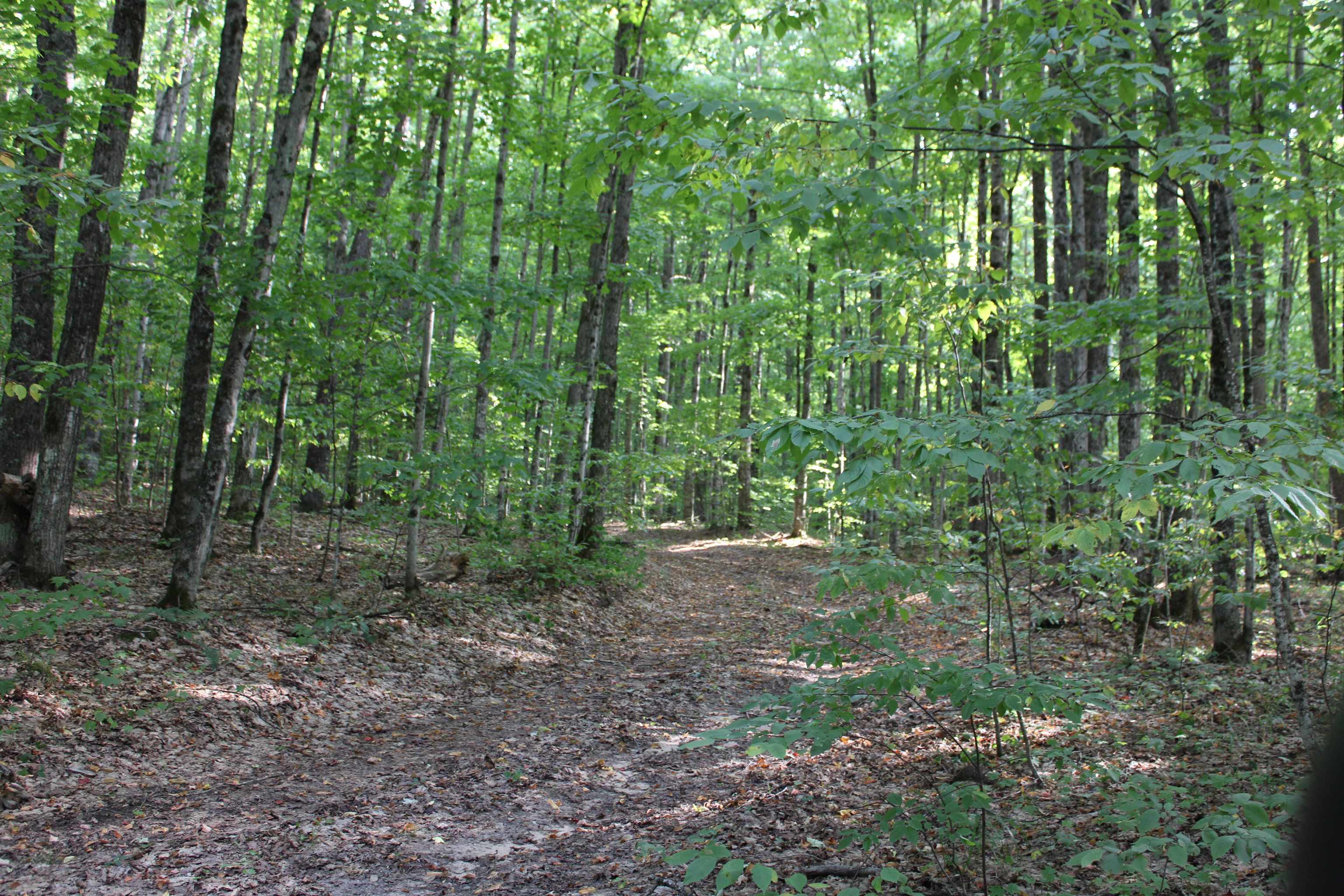 Derry Road Alba, MI 49611 - Photo 11 of 50