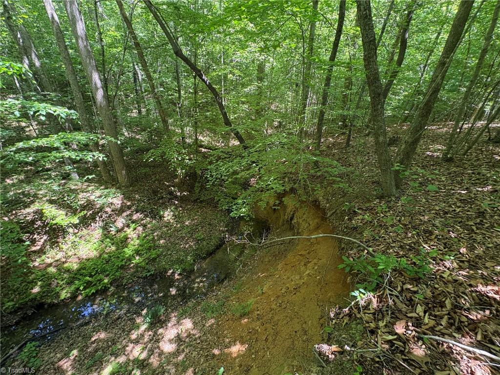 0 Witty Road Summerfield, NC 27358 - Photo 11 of 21