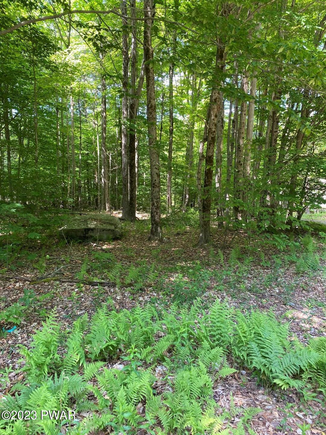 Timbertop Acres Newfoundland, PA 18445 - Photo 9 of 23
