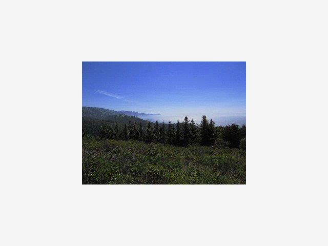 46300 Clear Ridge Road Big Sur, CA 93920 - Photo 1 of 3 Gallery Image 1