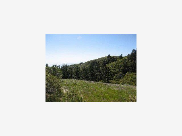 46300 Clear Ridge Road Big Sur, CA 93920 - Photo 2 of 3 Gallery Image 2