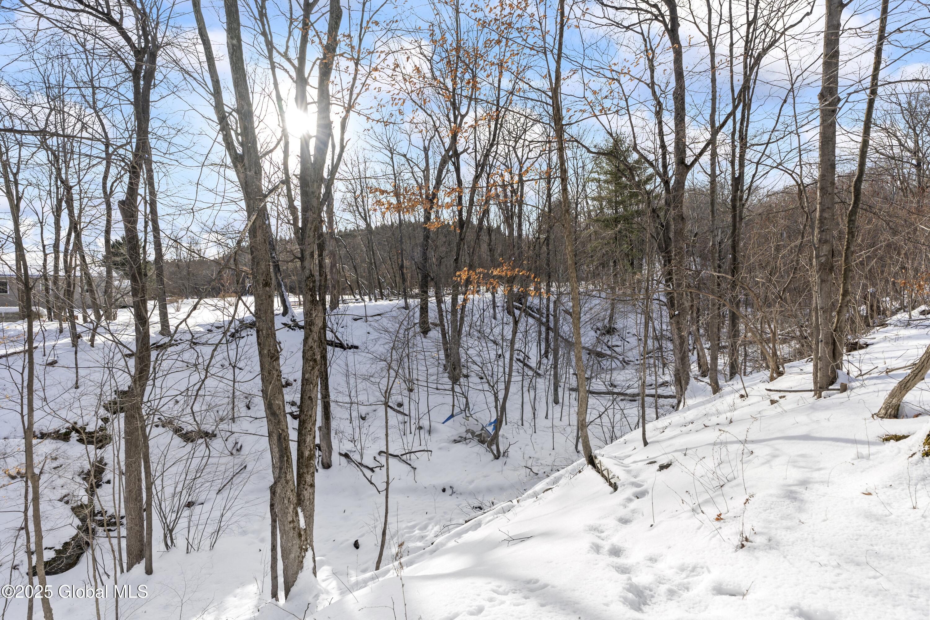1291 Putnam Road Schenectady, NY 12306 - Photo 46 of 48 46