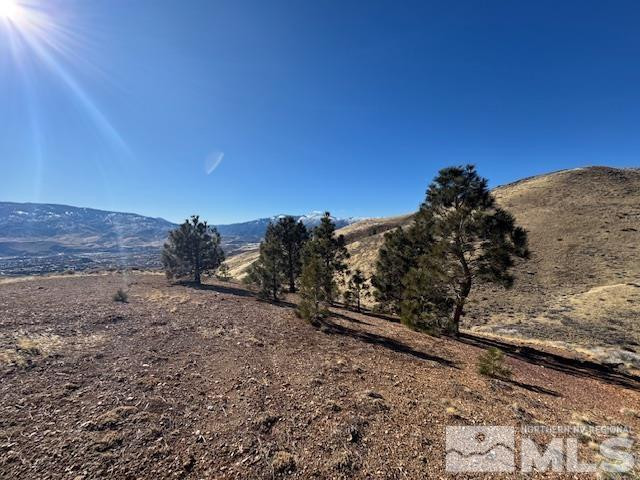 0 Apn 081-160-06 Reno, NV 89523 - Photo 8 of 12 a view of a dry yard with trees in the background